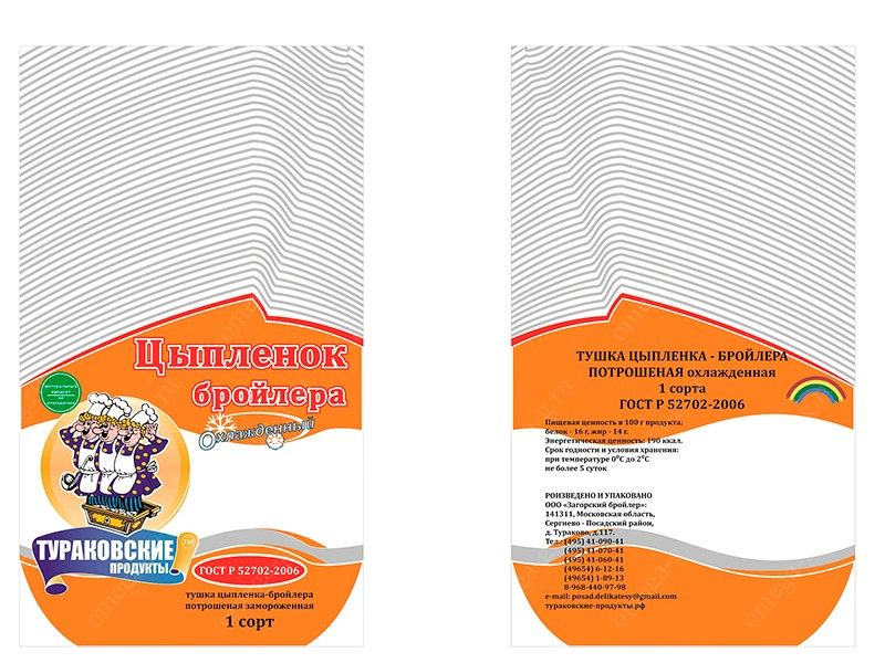 Пример, разработанного нами макета. 2