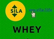 Пример макета