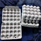 Бумажный контейнер для 20 куриных яиц