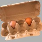 Картонный контейнер для 10 яиц