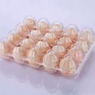 Пластиковые ячейки на 20 яиц