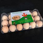 Пластиковый бокс на 18 яиц