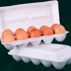 Упаковка ВПС для 10 куриных яиц